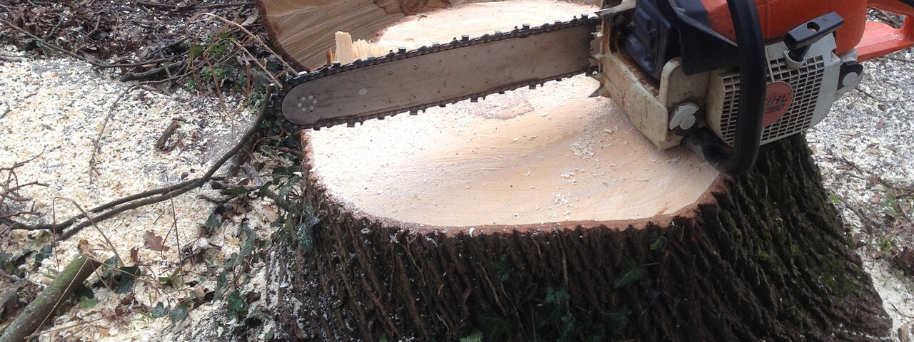 Motorsäge auf Baumstumpf