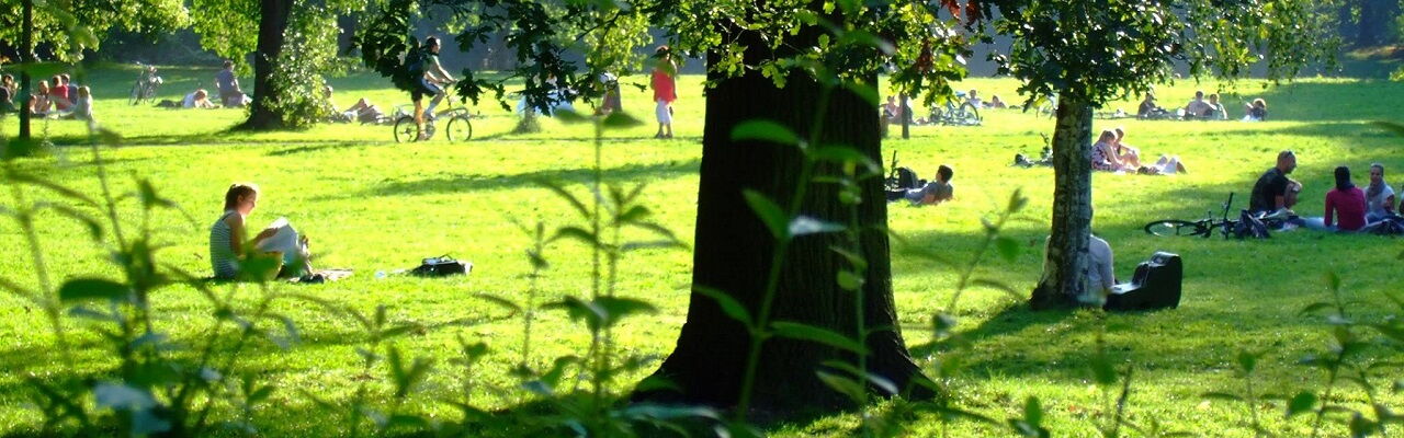 Menschen auf einer Wiese im Clara Park
