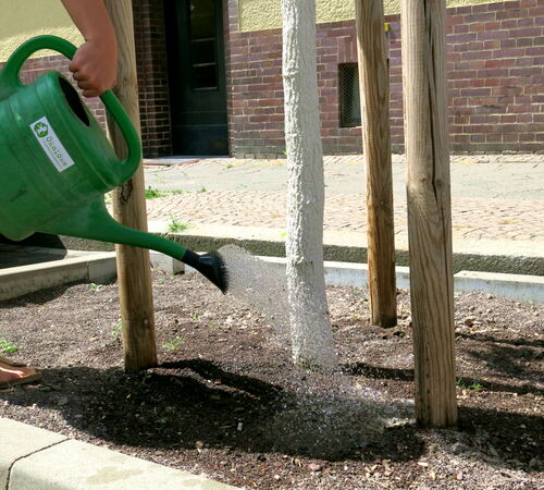 Straßenbäume gießen in Leipzig