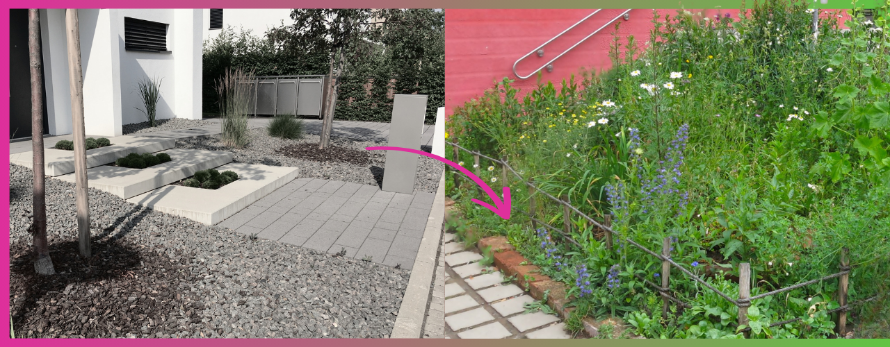 Schottergarten vor einem Einfamilienhaus