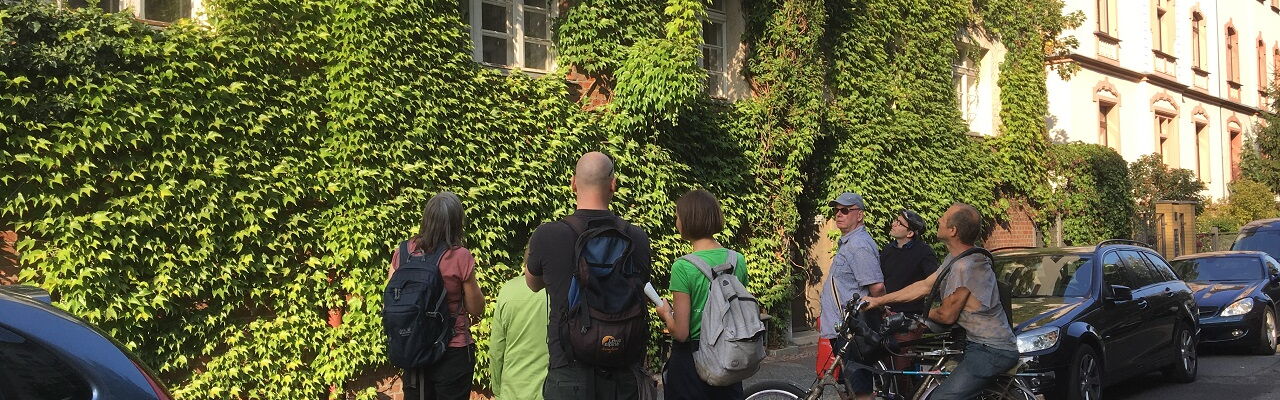 Kletterfix- Beratung in Leipzig