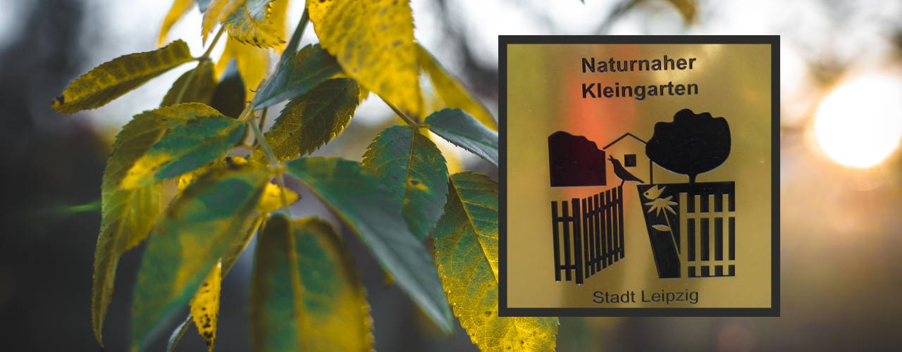 Naturnah Gärtnern Leipzig