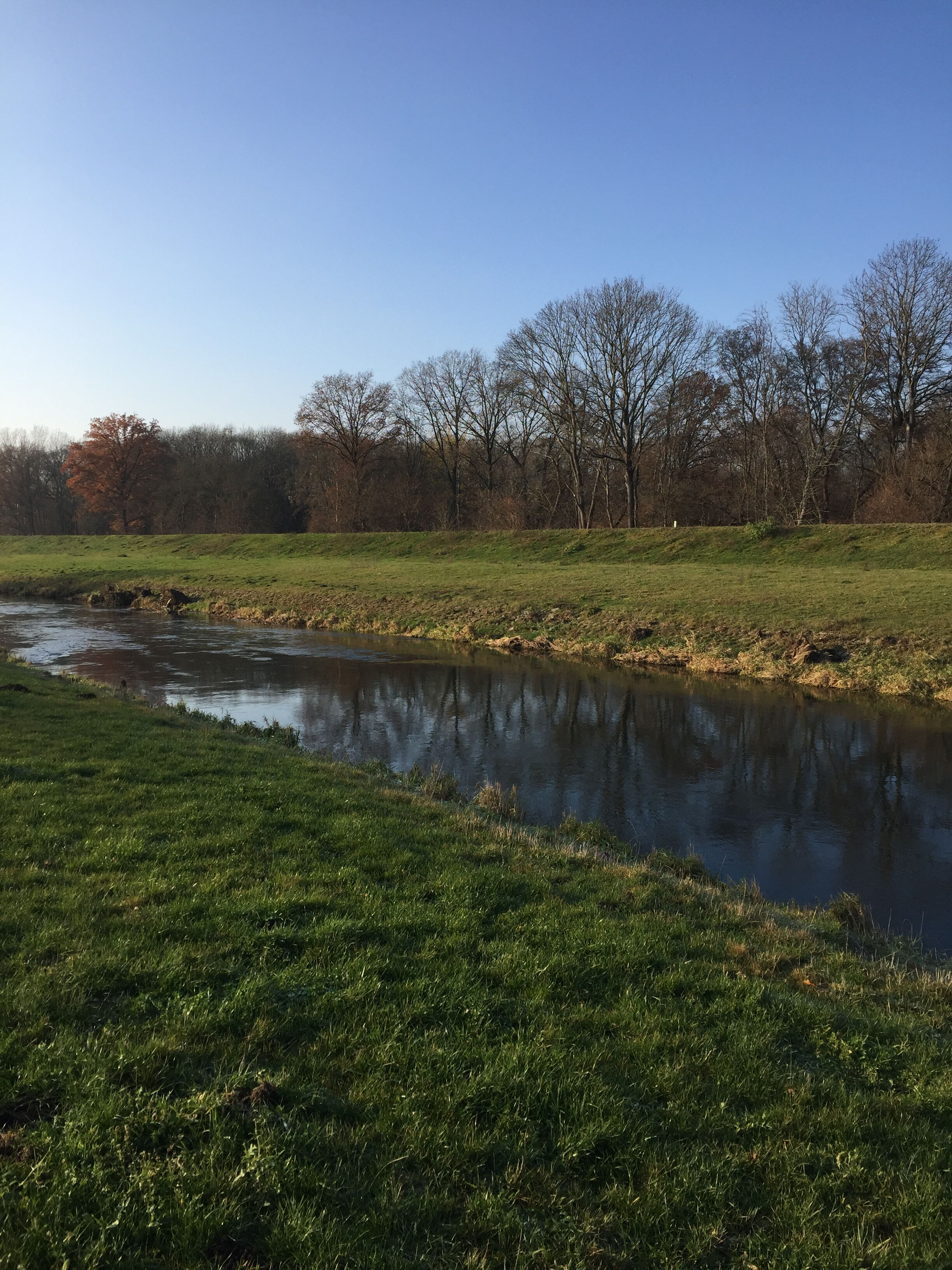 Der Deich trennt den Fluss vom Auwald