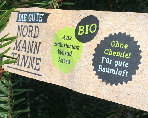 Weihnachtsbaum Recycling