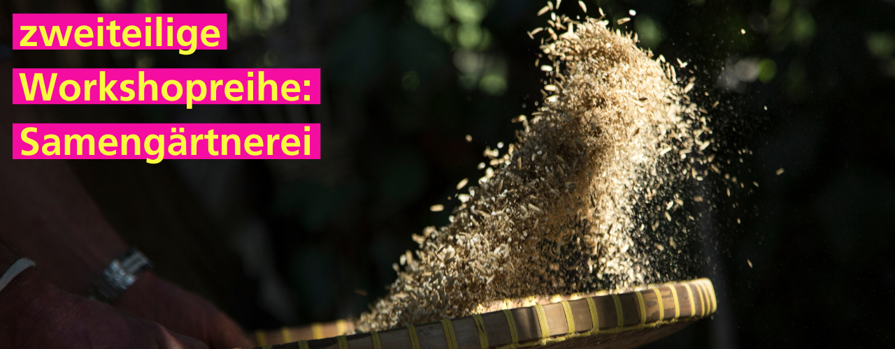 Stadtgarten Connewitz