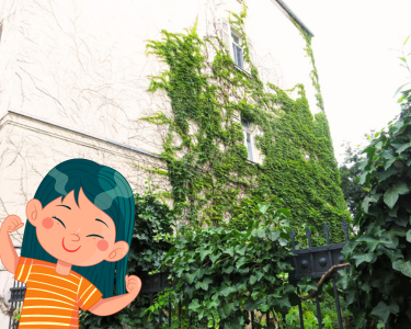 Grün Bauen an Schulen