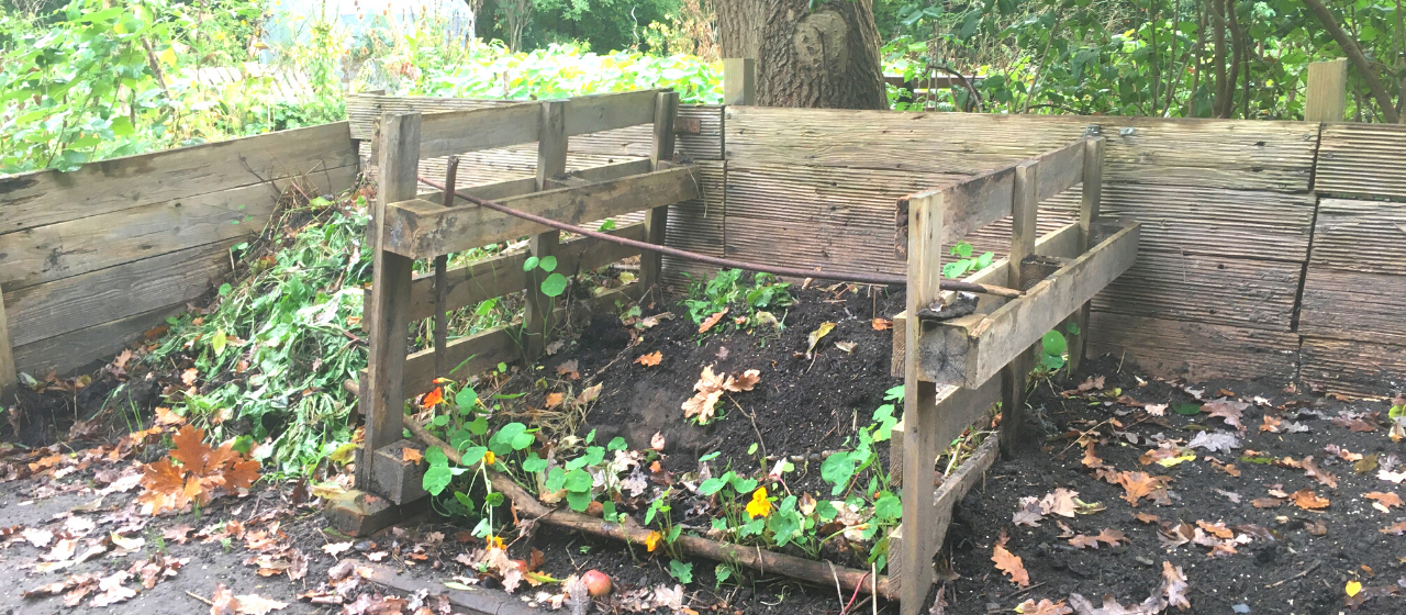 Im Komposthaufen im stadtgarten Connewitz wurden 5 Igelbabys geboren