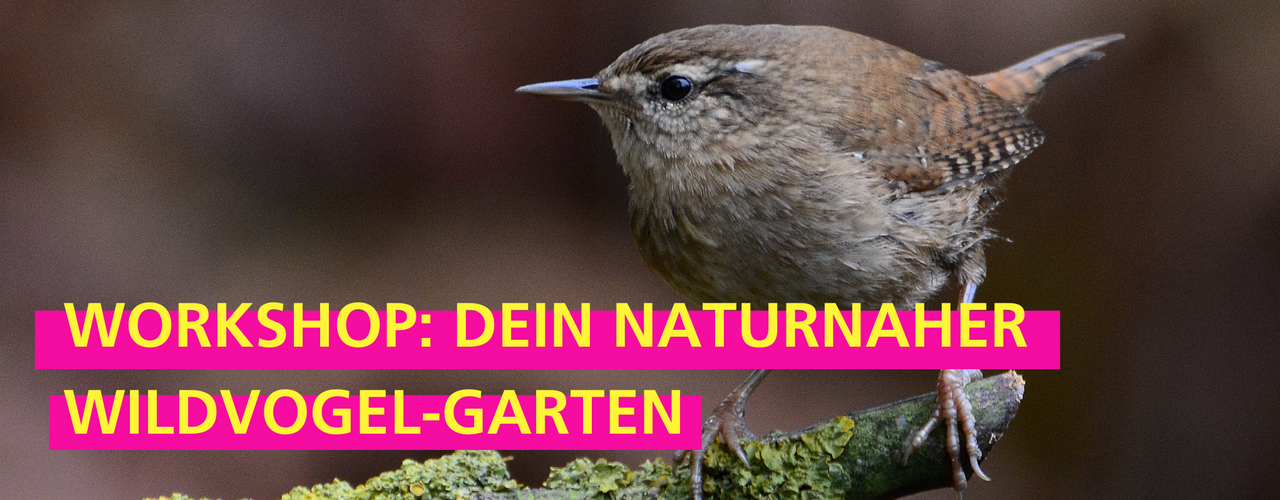 Stadtgarten Connewitz