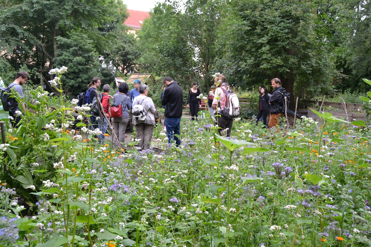 Stadtgarten Connewitz