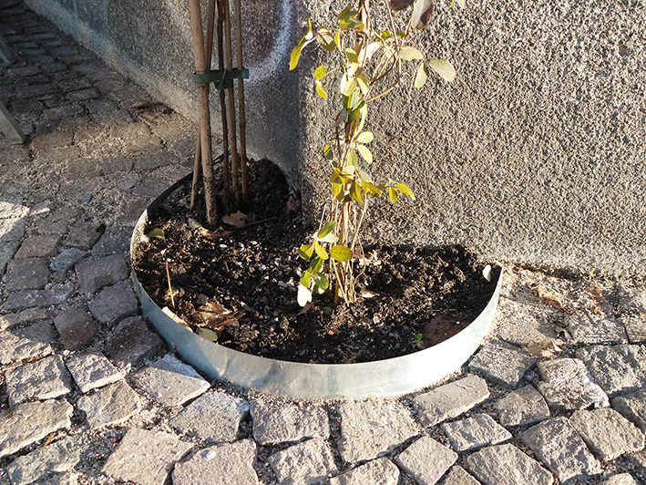 Pflanzgruben auf dem Fussweg in Leipzig