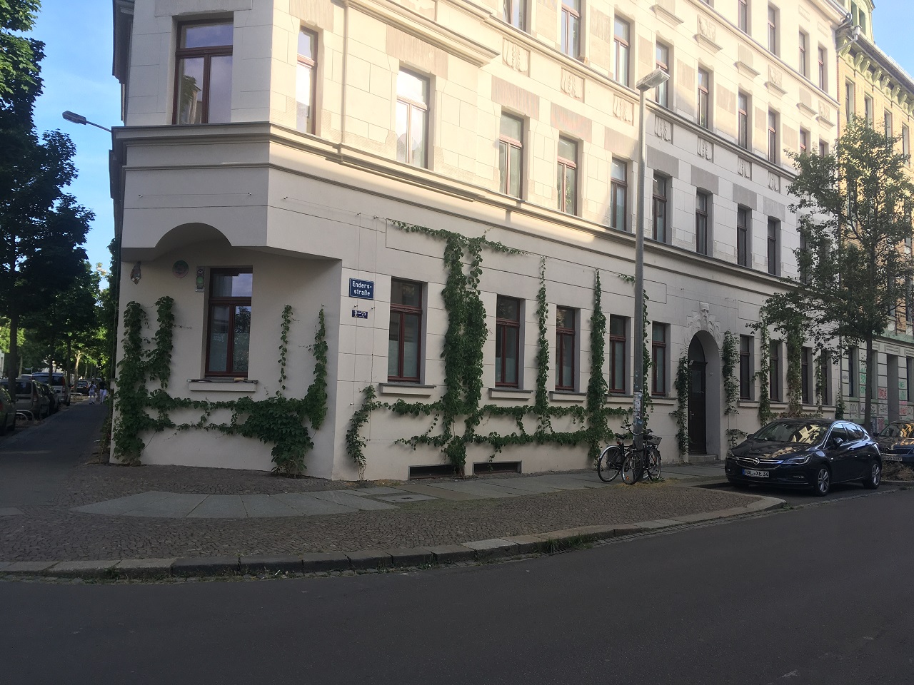 Kletterpflanzen an einem Leipziger Altbau