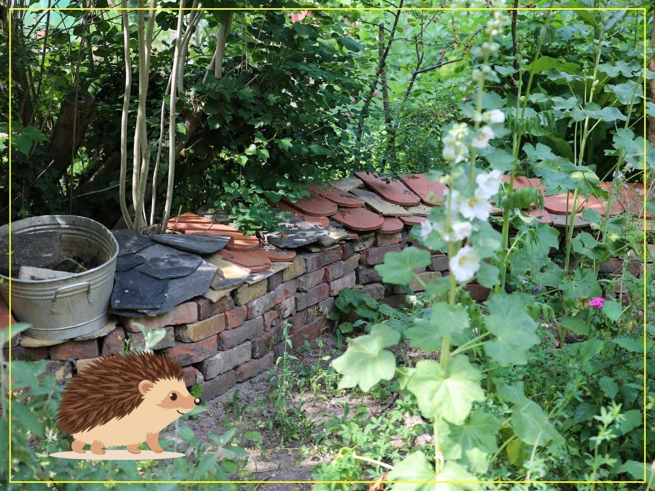 Naturgarten mit Trockensteinmauer