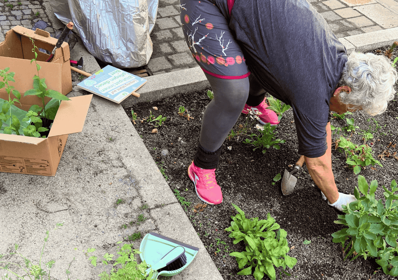 Seniorin bepflanzt Baumbeet