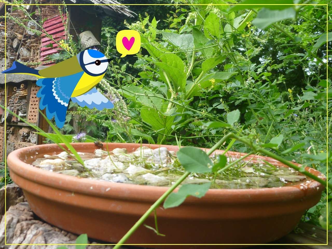 Trinkschale für Vögel gefüllt mit Wasser