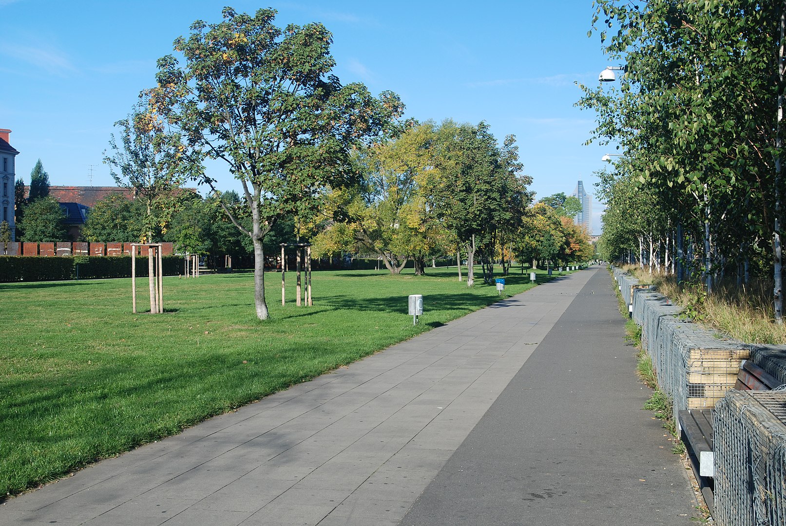 gemeinsamer grauer Geh- Radweg neben einer grünen Wiese mit kleinen Bäumen