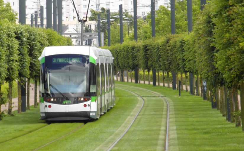 Straßenbahn auf Gleisen mit Grasbewuchs, umgeben von gleichmäßig geschnittenen Bäumen an beiden Seiten.