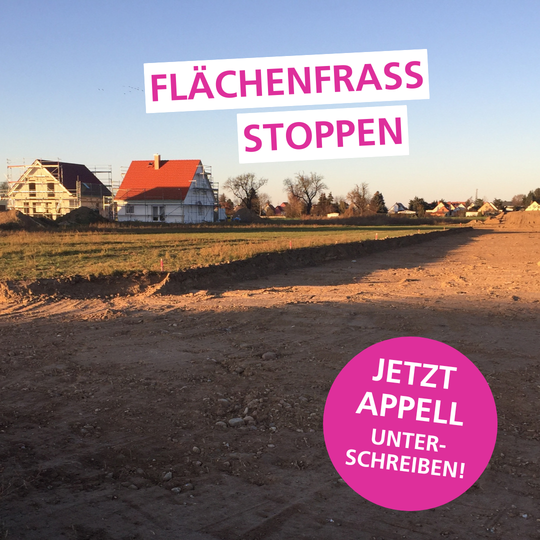 Mehr Grün für Leipzig statt immer mehr Eigenheimsiedlungen