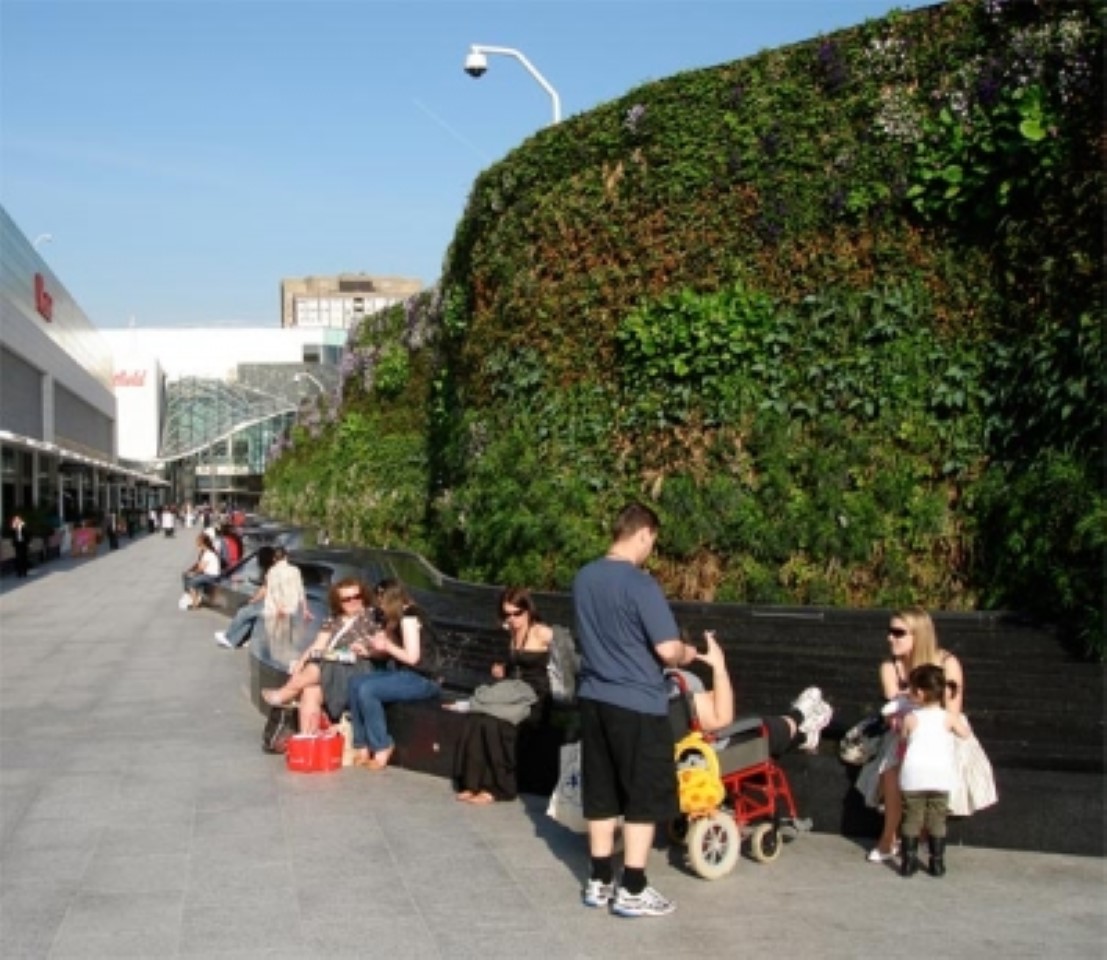 Greenwall in Westfield