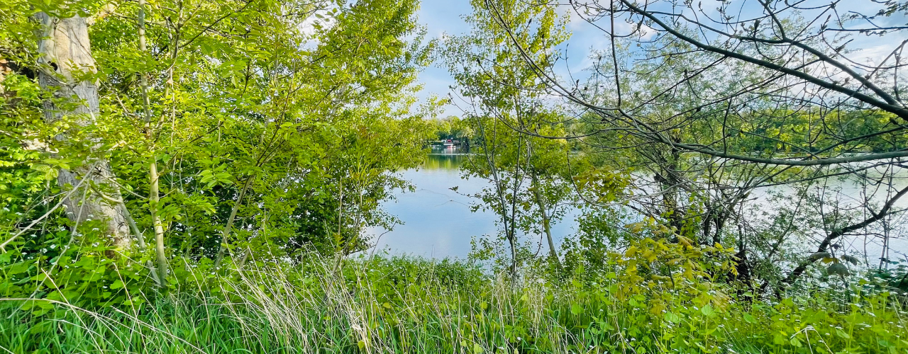 Baupläne im Schutzgebiet am Auensee stoppen