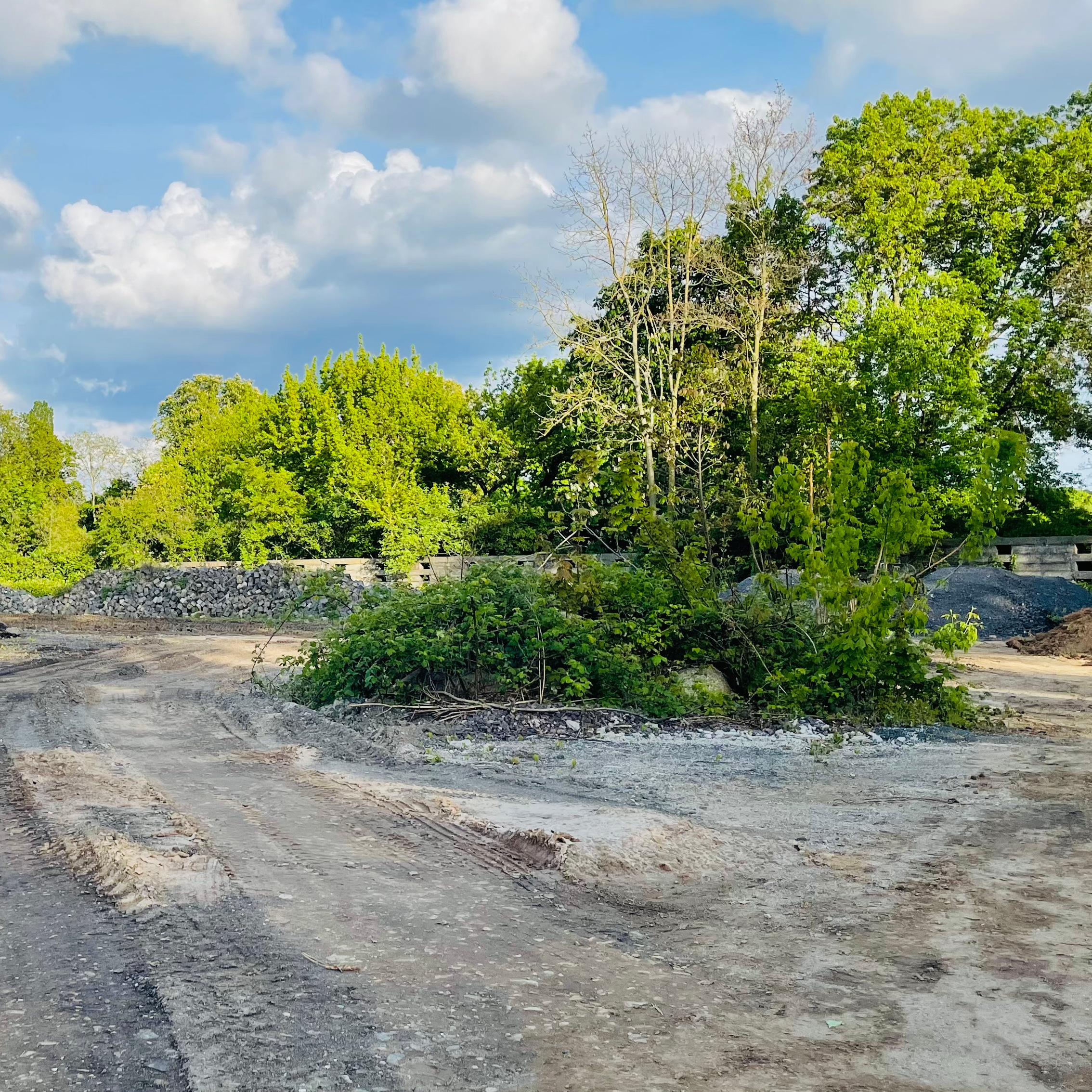 Aktuell ist die Fläche eine Brache, kann aber aufgewertet werden.