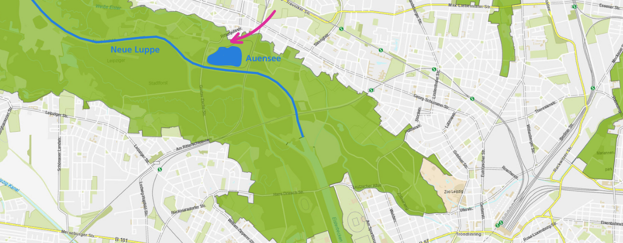 Biotopverbund ins Stadtzentrum