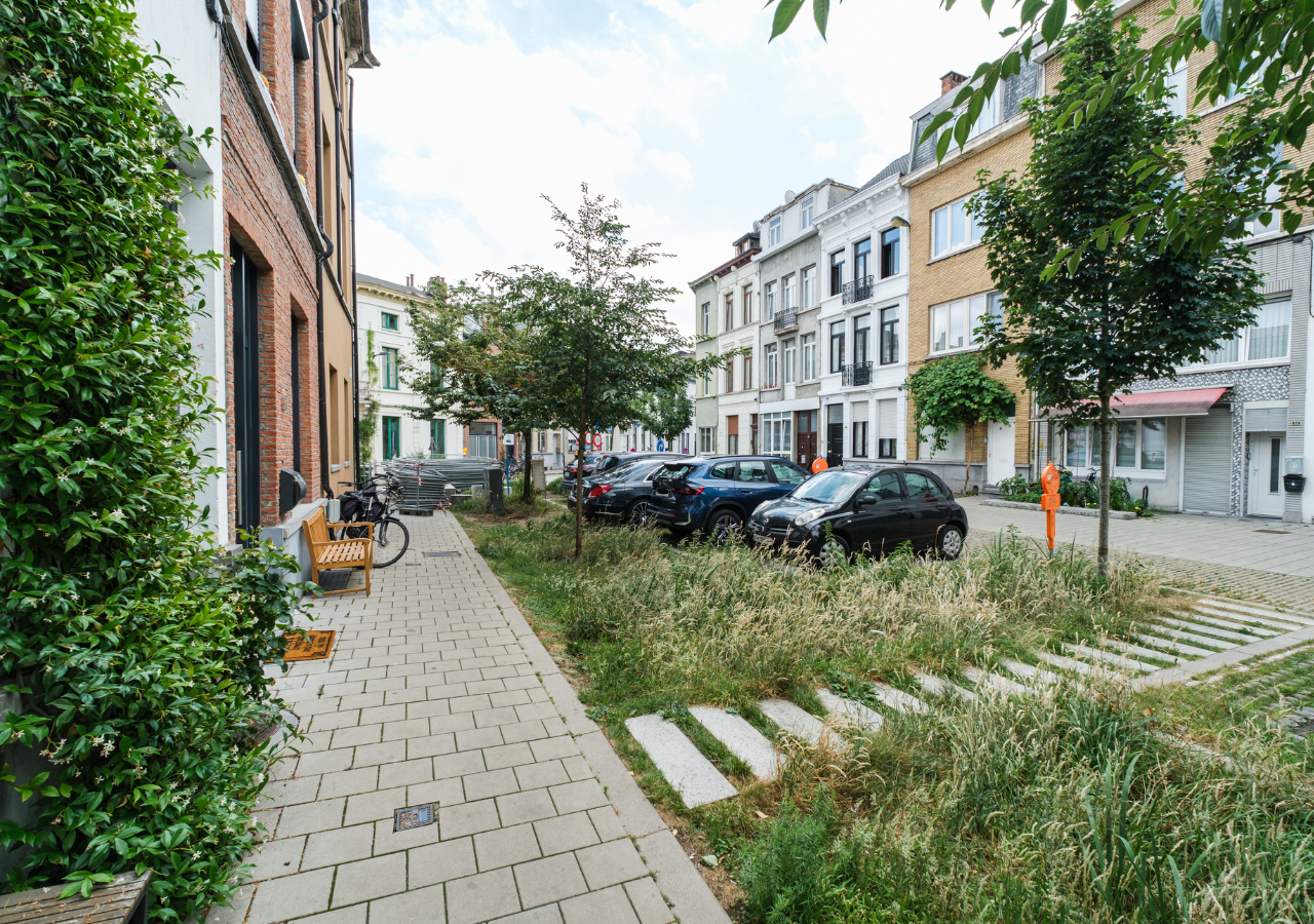 Straße in Antwerpen mit Reihenhäusern, parkenden Autos, Bäumen und begrüntem Mittelstreifen mit Trittsteinen.