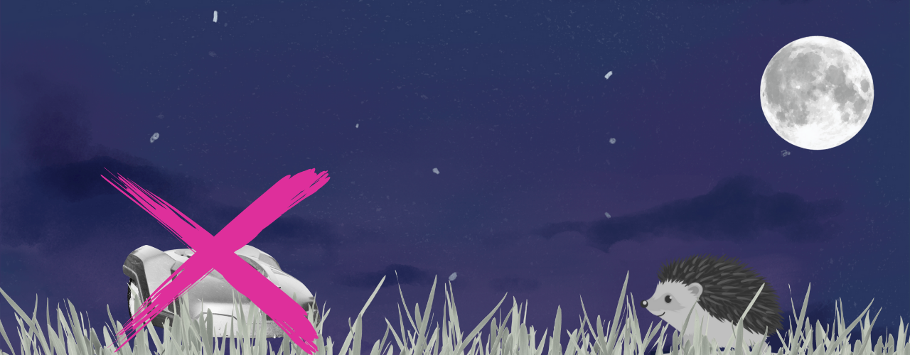 Mähroboterverbot in Leipzig