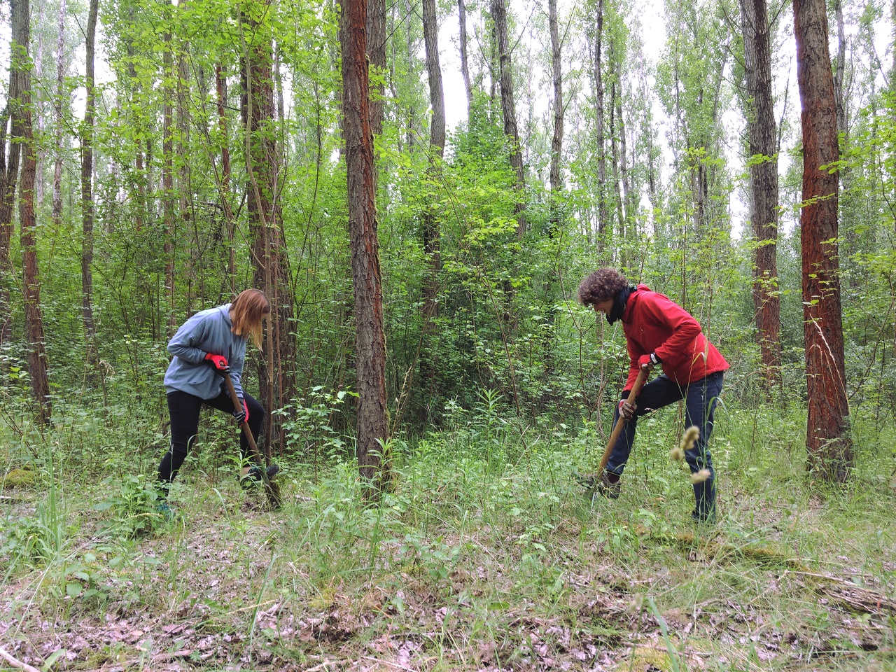 Mitglieder der AG Naturschutz beim Pflegeeinsatz