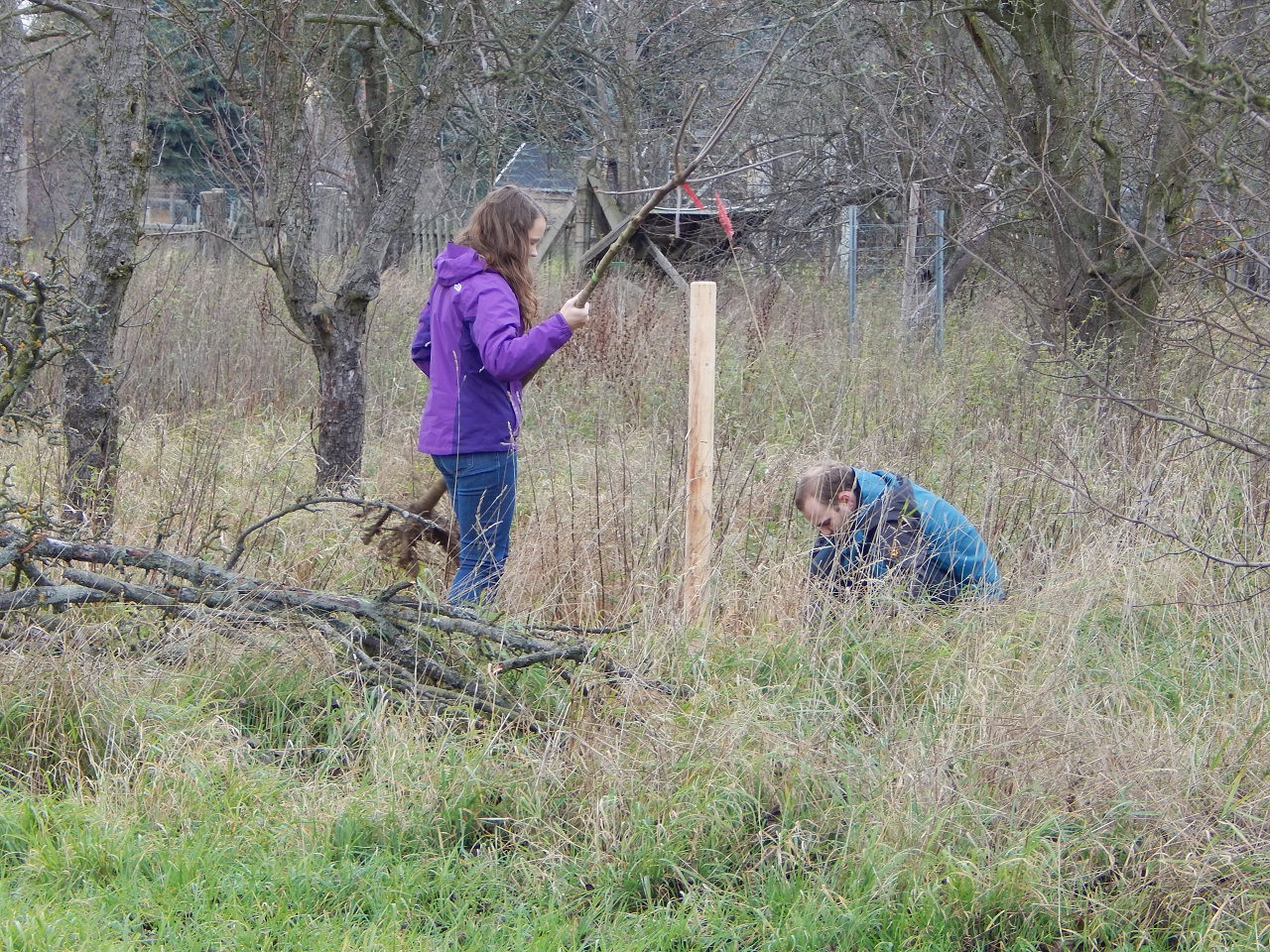 Vorbereitungen für die Pflanzung