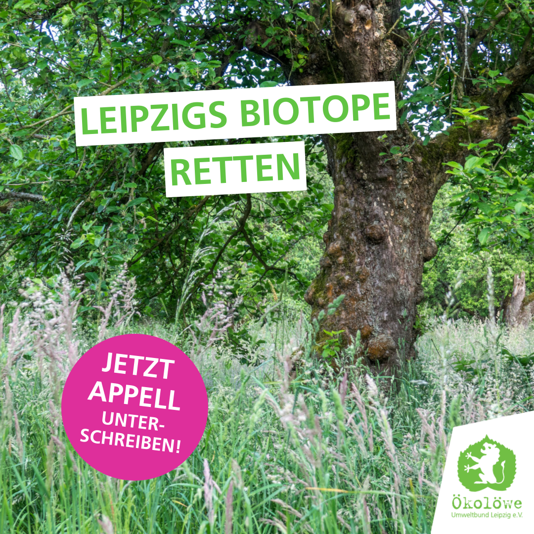 Jetzt Mehr Grün Appell unterzeichnen