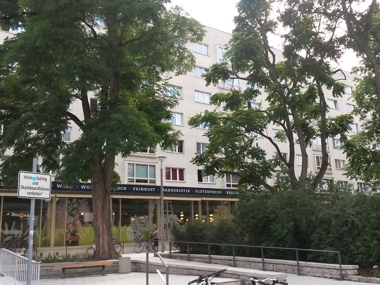 Die geretteten Bäume an der Karl-Liebknecht-Straße 27-33