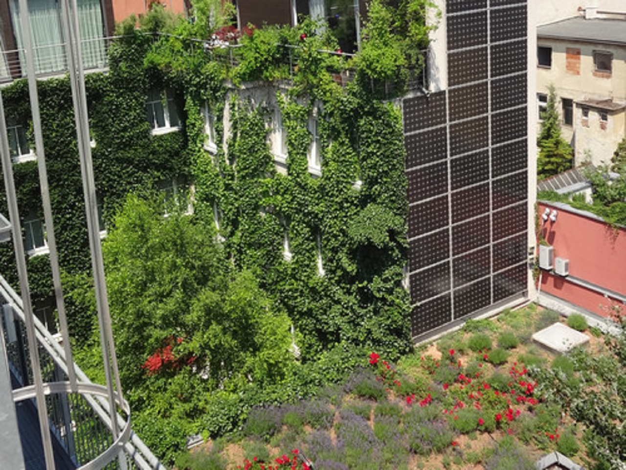 Dachbegrünung als Standard in der Leipziger Begrünungssatzung