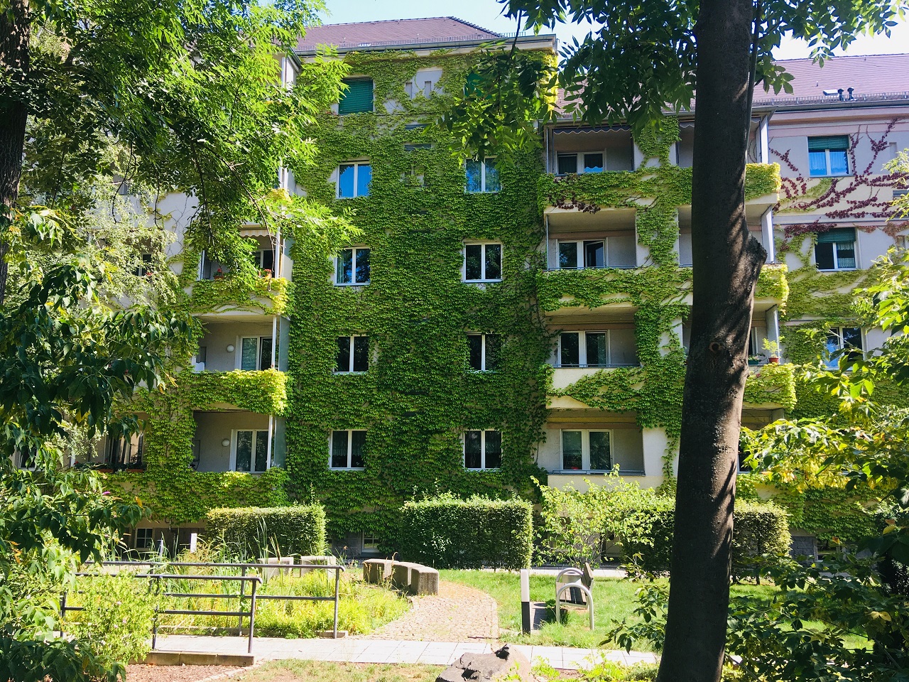 Fassadenbegrünung ist in der Grünsatzung Pflicht