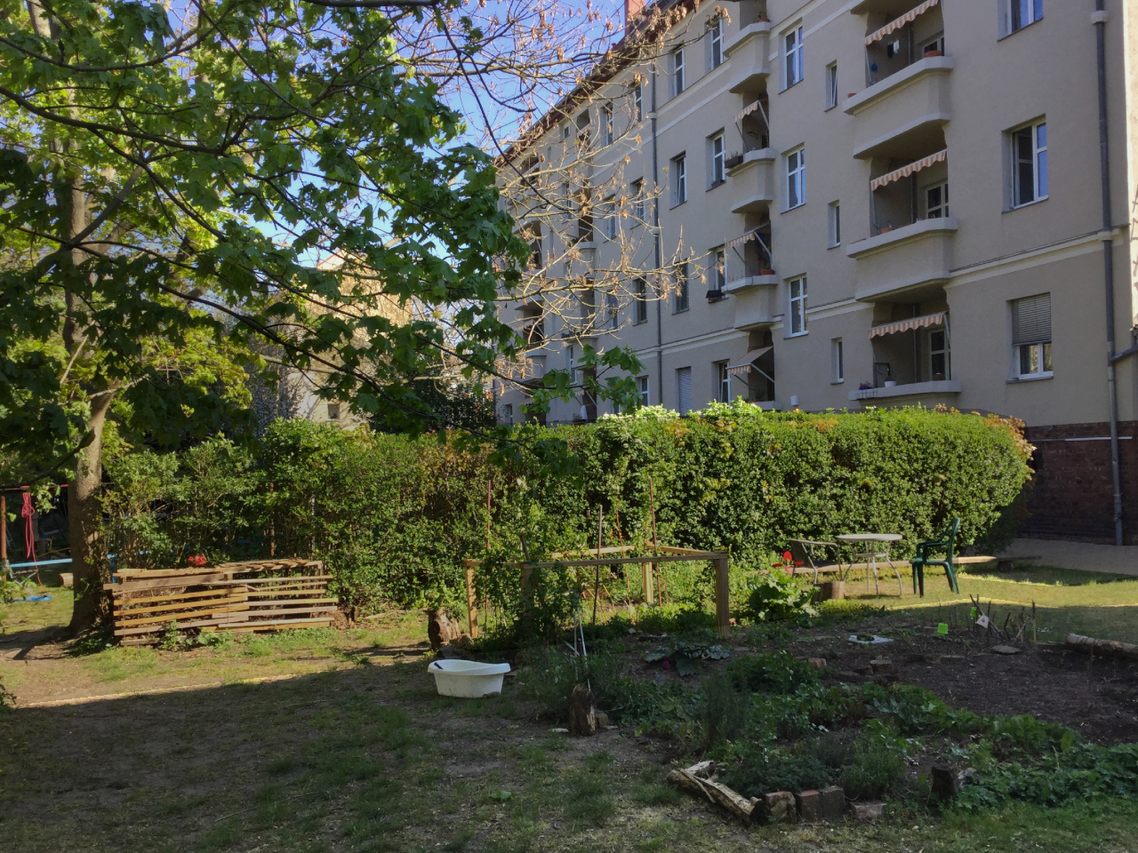 Grüne Hinterhöfe als Nachbarschaftstreff und für die Artenvielfalt werden mit der Leipziger Begrünungssatzung befördert