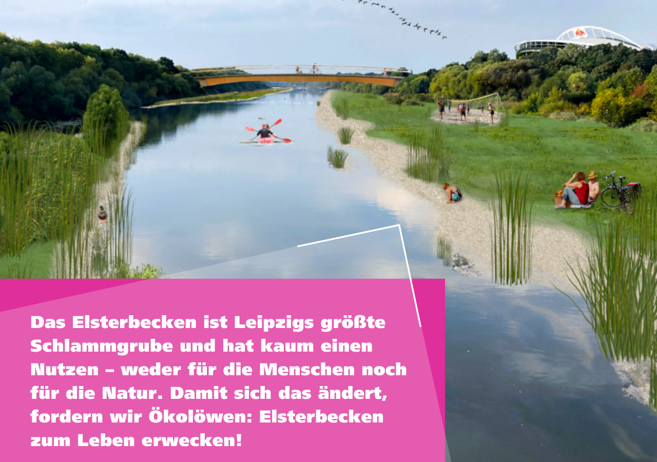 Unsere Ökolöwen-Vision für das Elsterbecken in Leipzig: Ein Fluss für Leipziger:innen und die Tierwelt