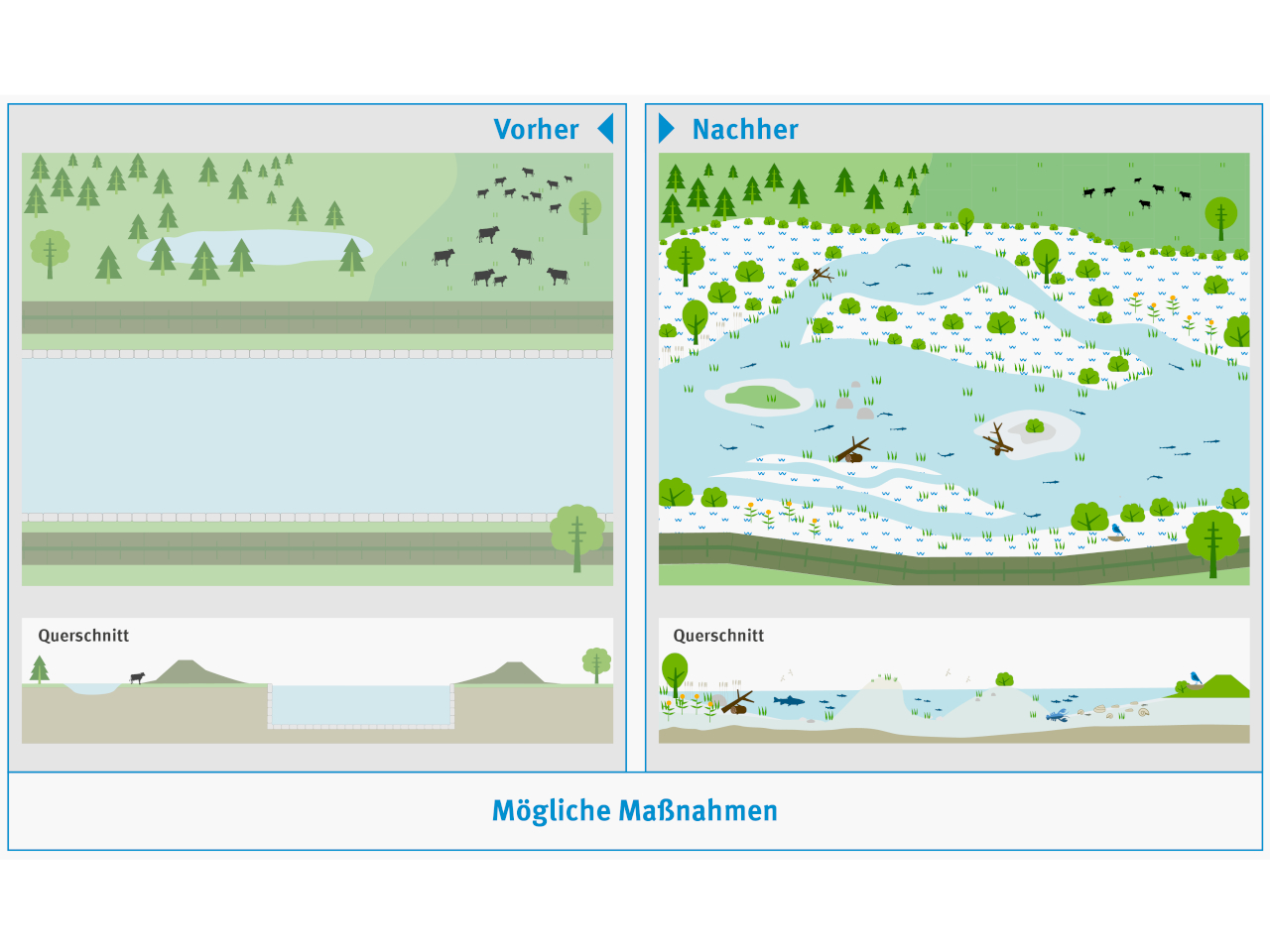 Die Abbildung zeigt, wie man von einem schnurgeraden Kanal zu einem naturnahen Fluss kommt