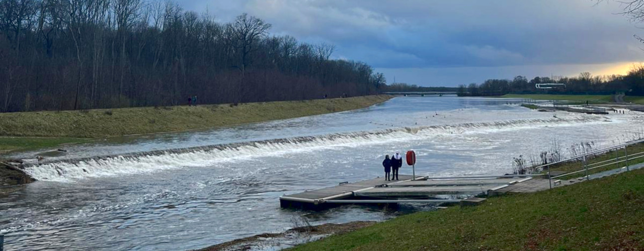 Hochwasser und Auwald