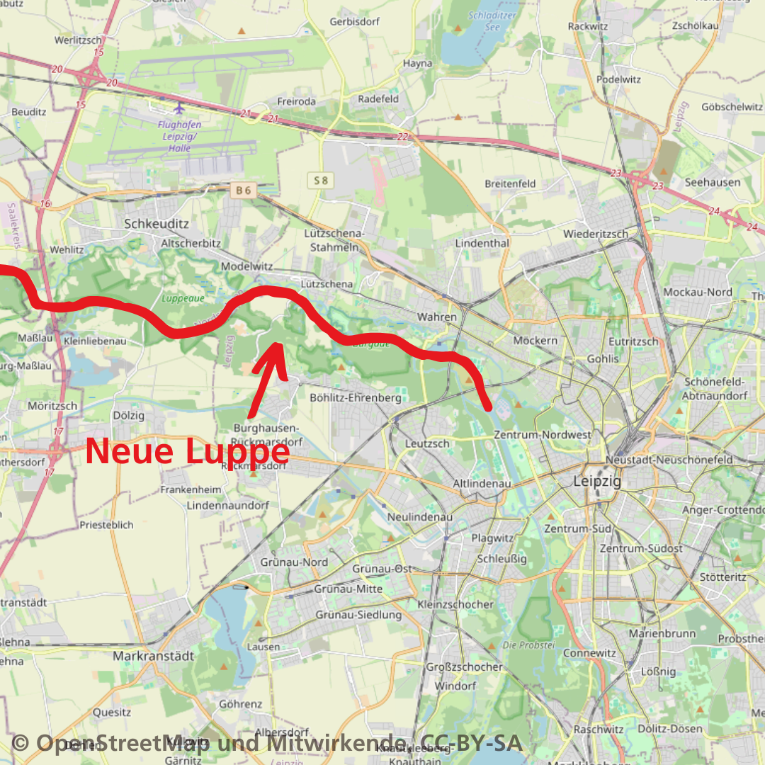 Die Neue Luppe im nördlichen Auwald