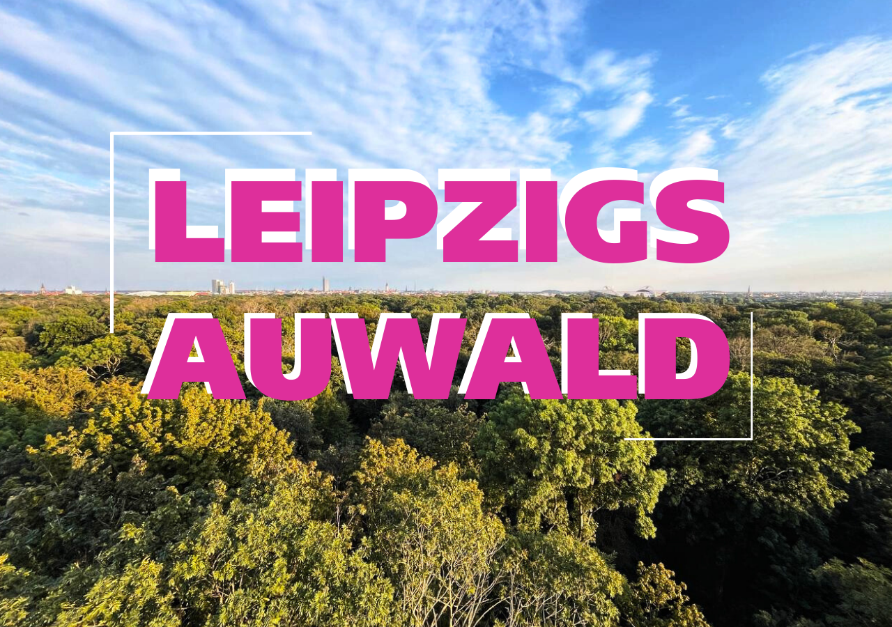 Auwald Leipzig von oben