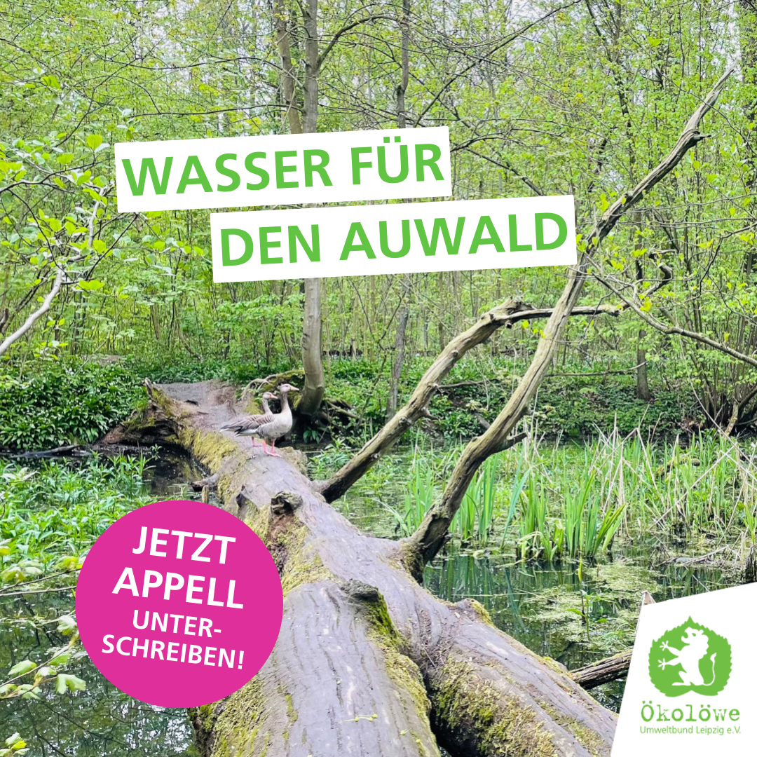 Wasser für den Auwald