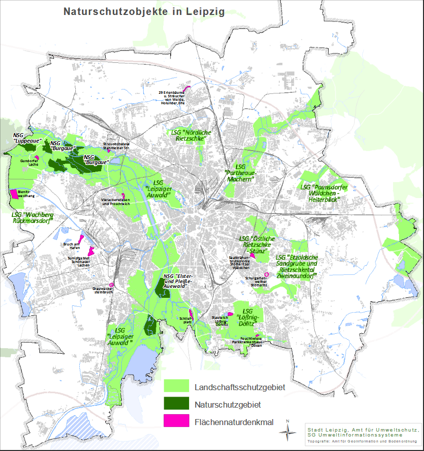 Bärlauch nicht in Leipziger Naturschutzgebieten pflücken