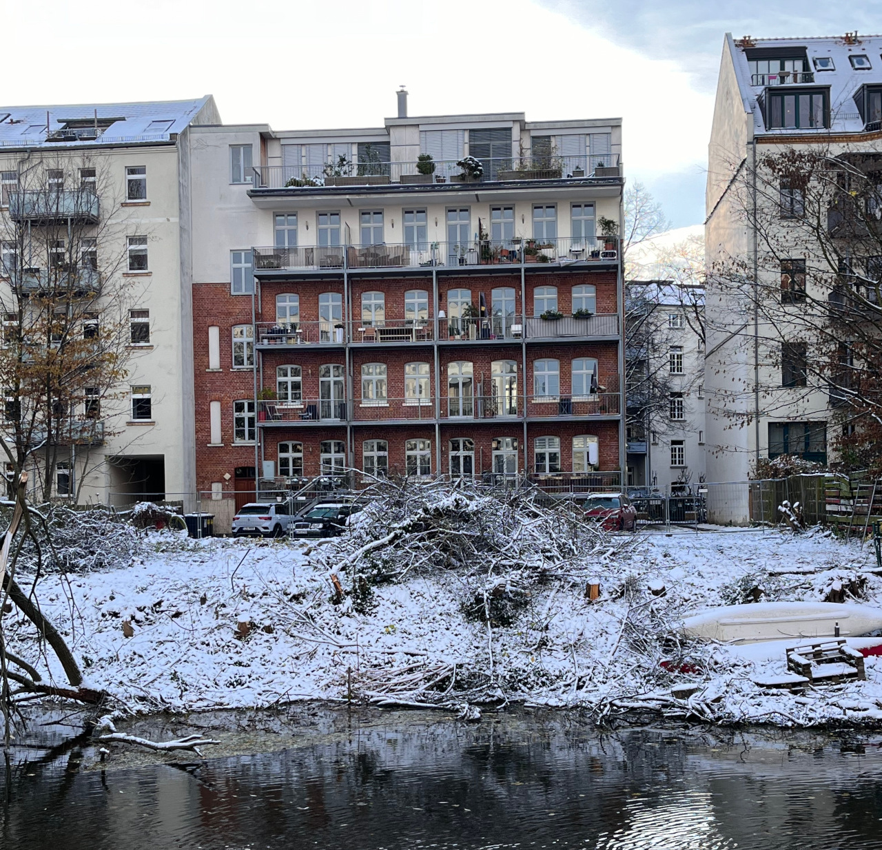 Illegale Fällung in Schleußig