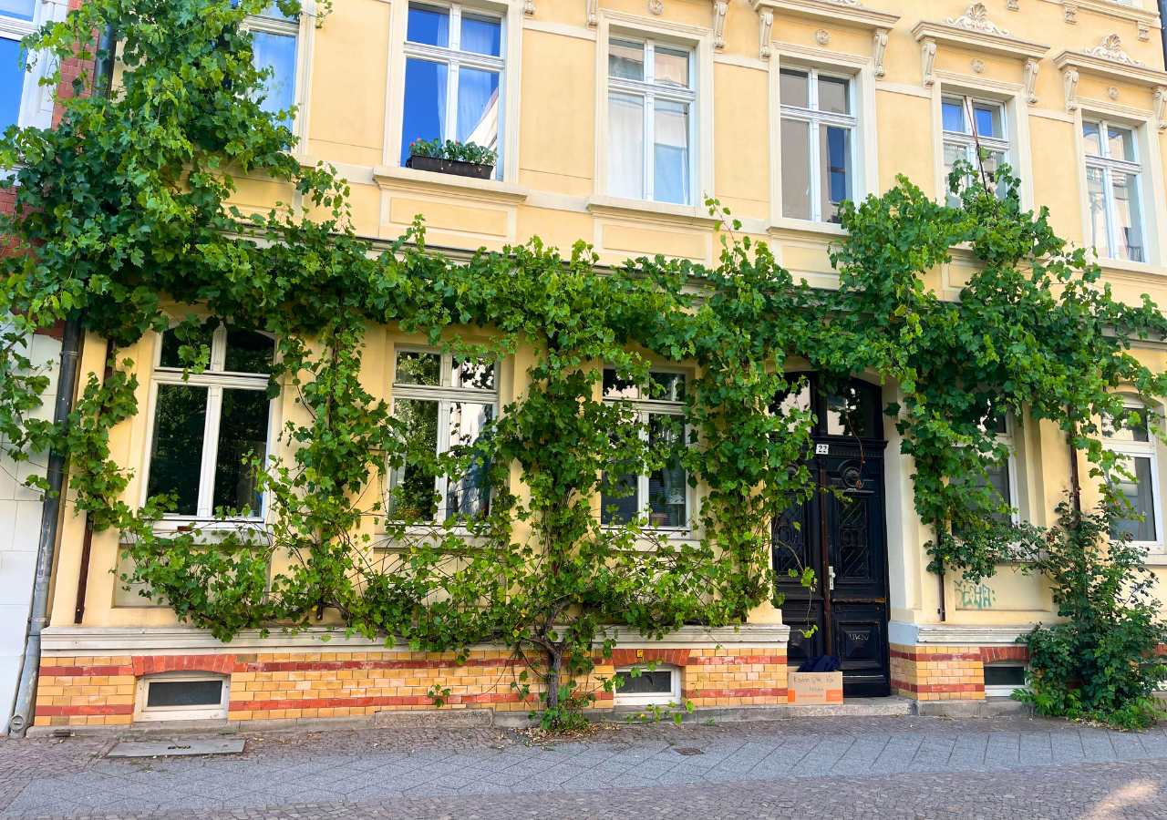 Fassadenbegrünung Leipzig