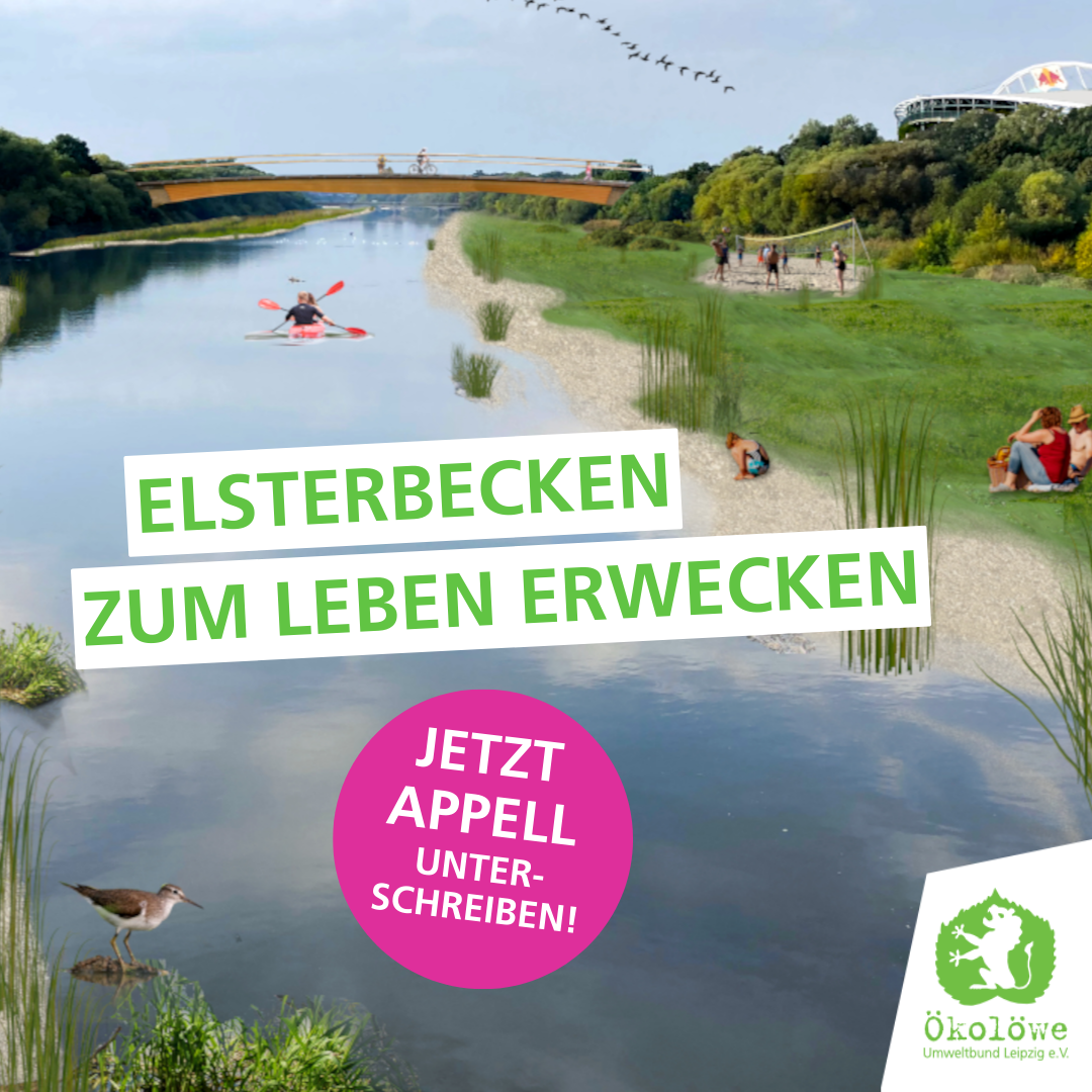 Elsterbecken zum Leben erwecken