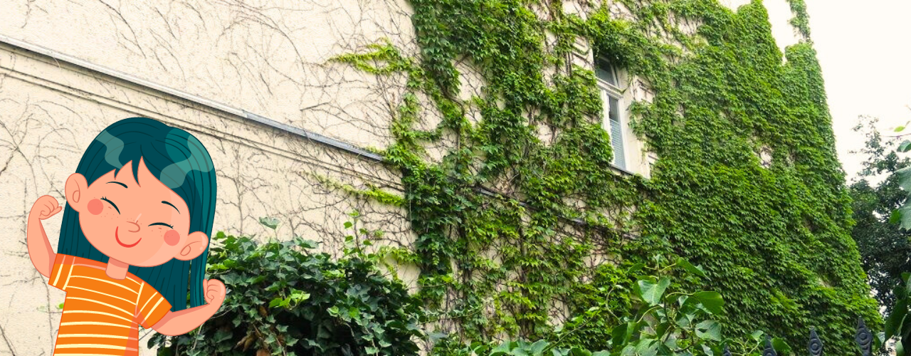 Grünes Bauen an Schulen