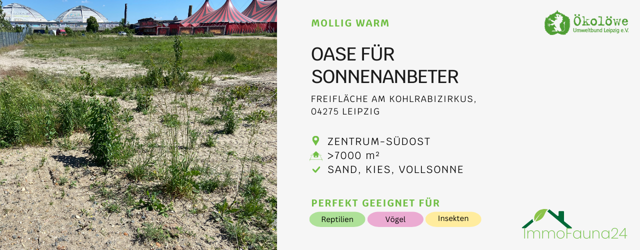 Freifläche am Kohlrabizirkus