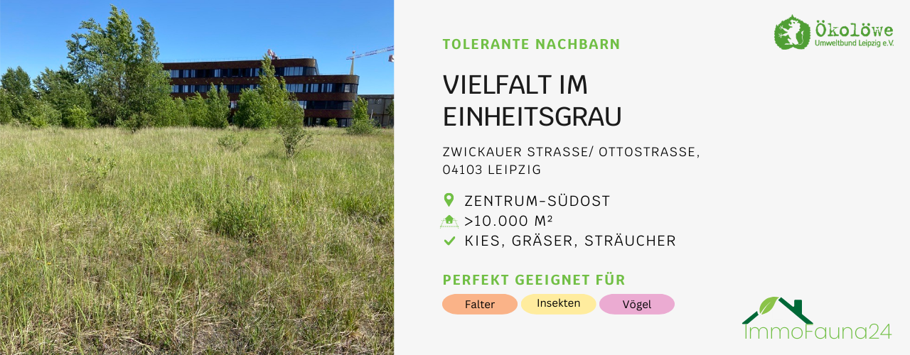 Brache Zwickauer Straße