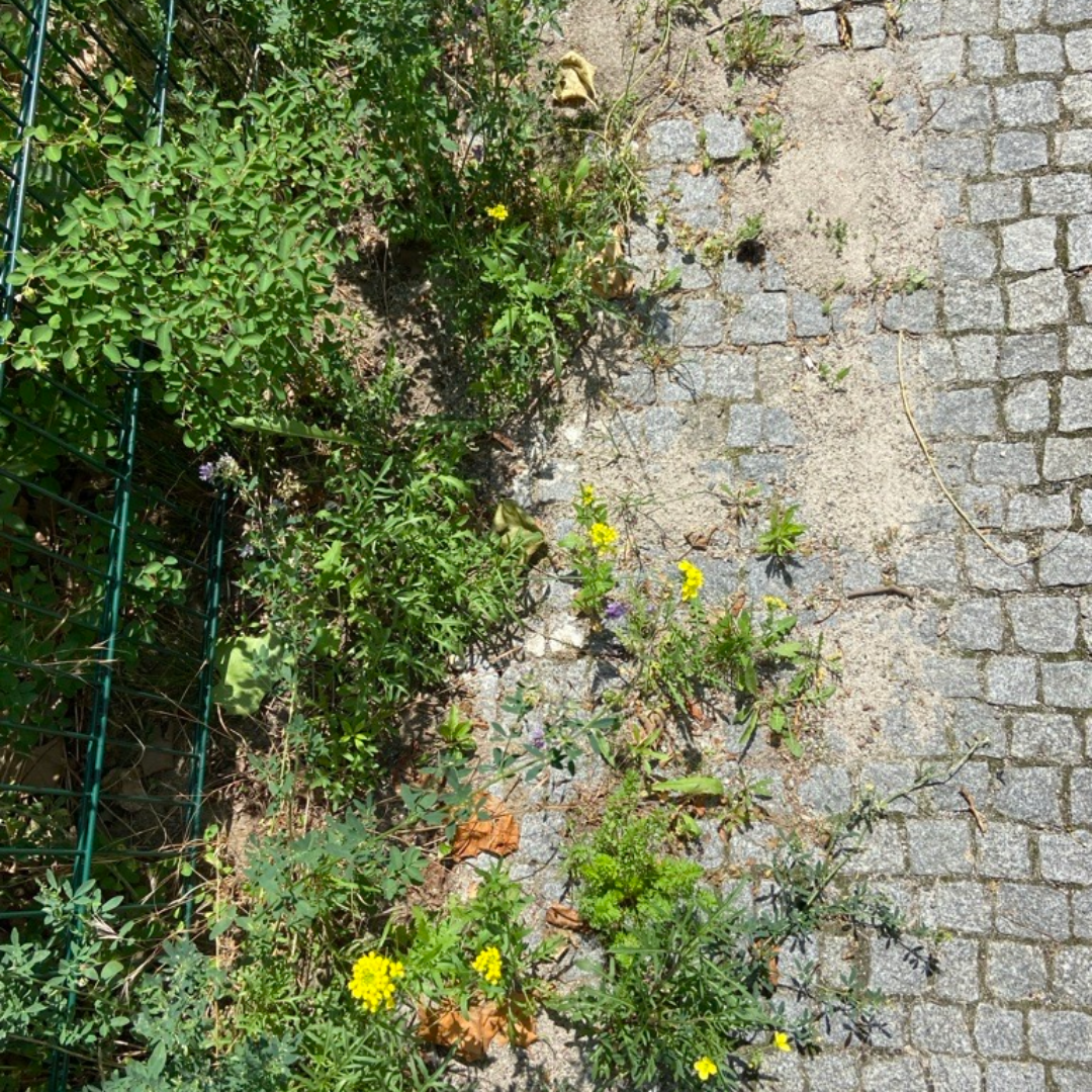 Sandfläche in Reudnitz