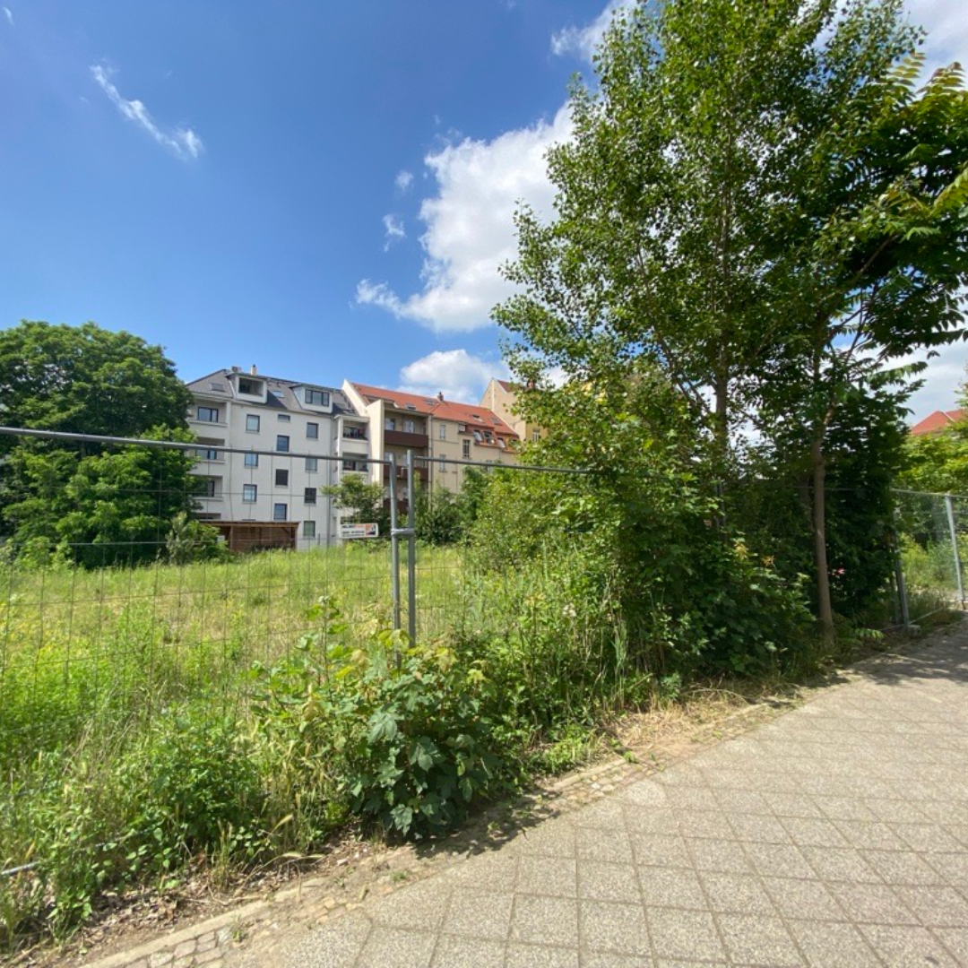 Sonnige Brache in Gohlis