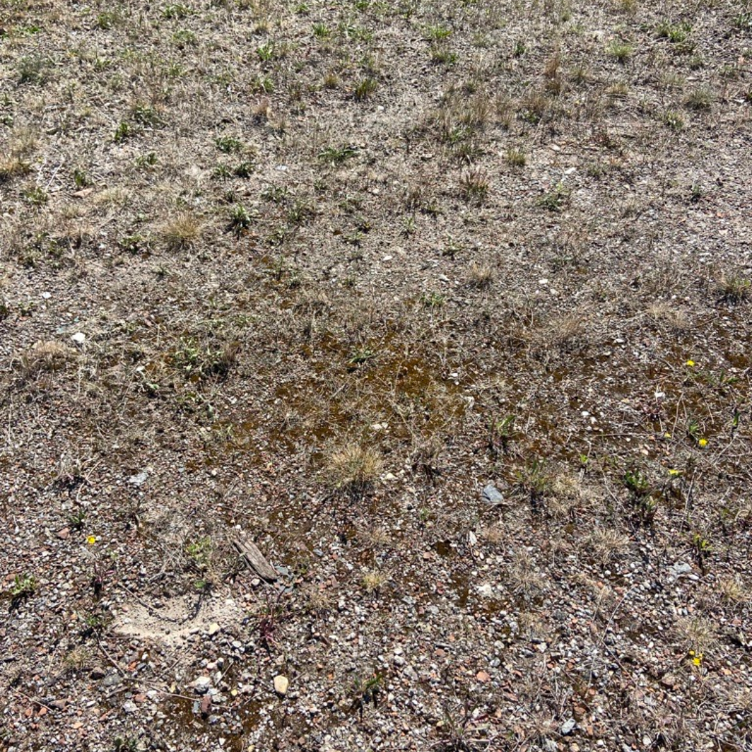 Trockene Kiesfläche in Leipzig-Südost